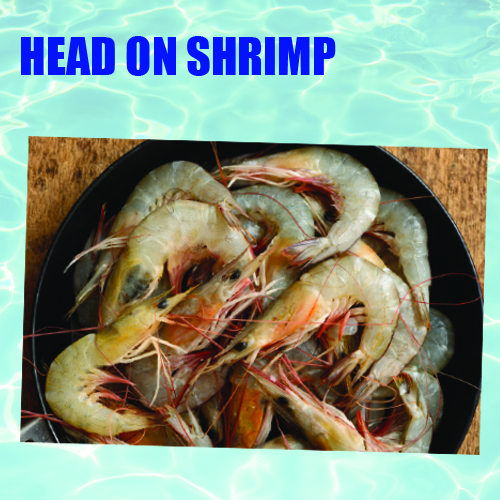 Head on Raw Shrimp Porky Products